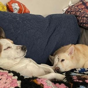 Meet your Posher, Adrianna